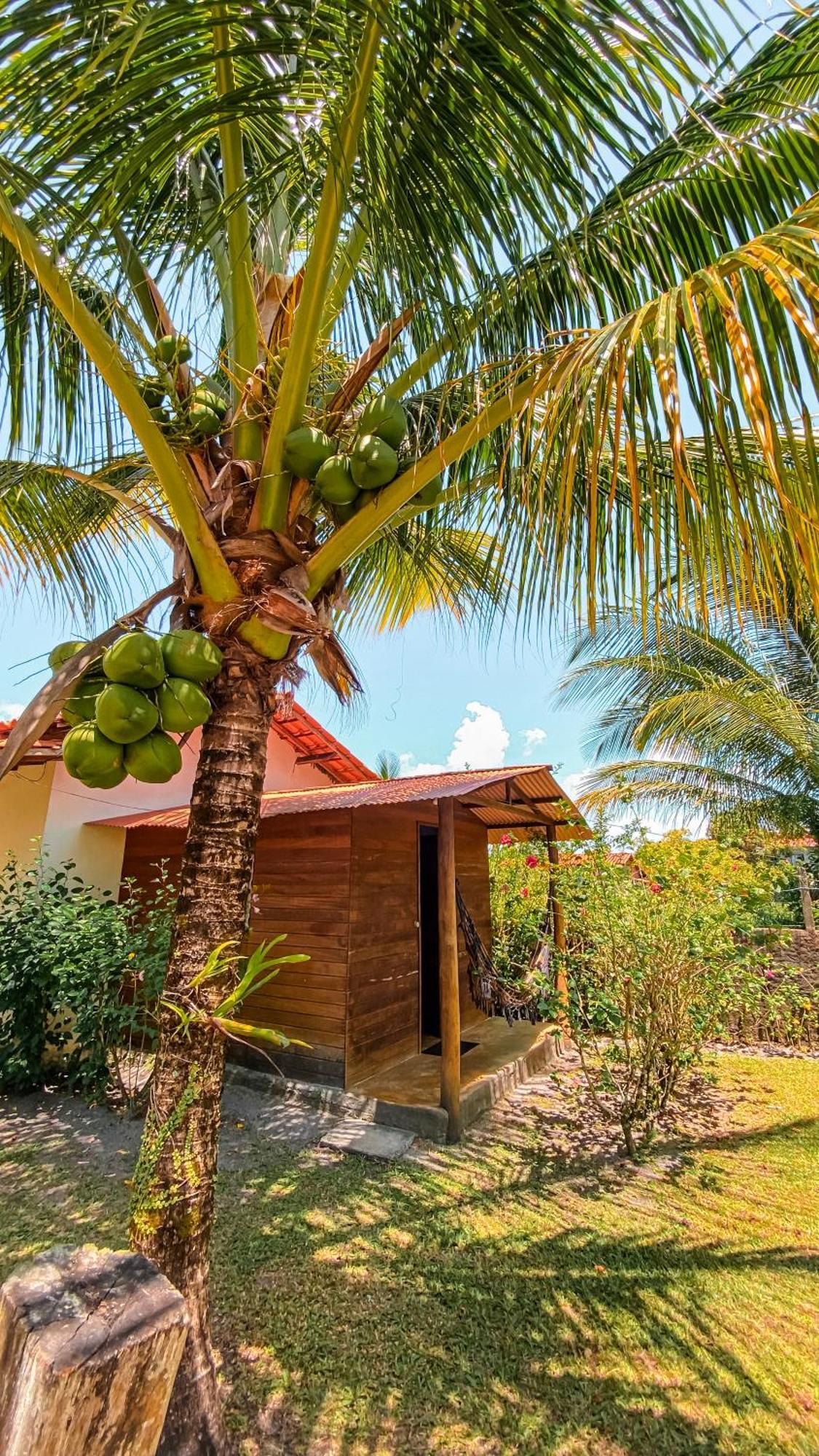 Family Guest House Velha Boipeba Exterior foto